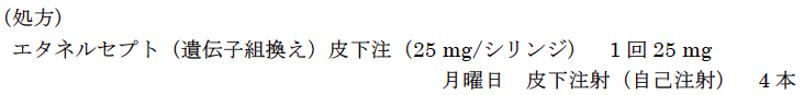 解説画像